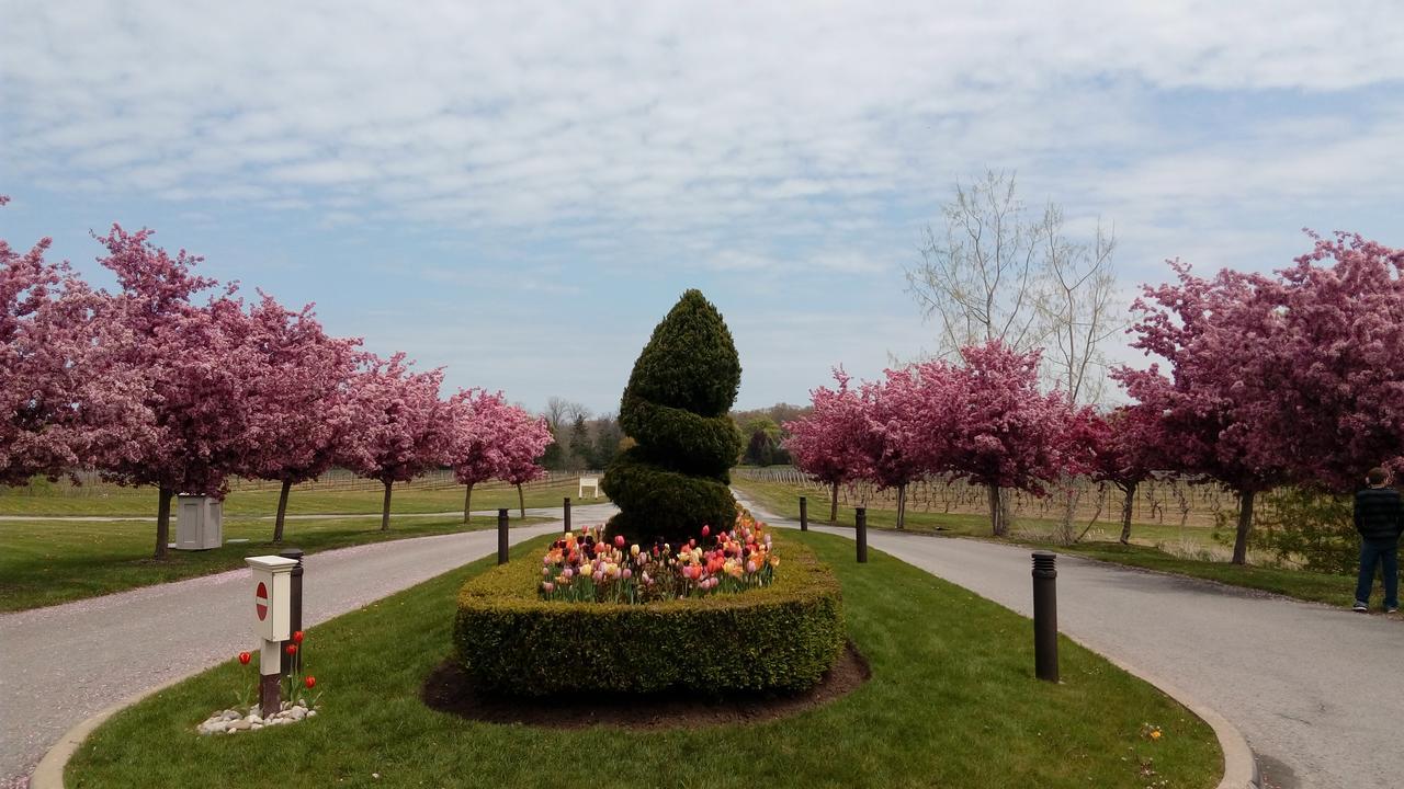 The White House Boutique B&B Niagara-on-the-Lake Eksteriør bilde